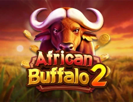 African Buffalo 2
