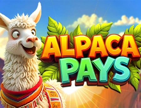 Alpaca Pays