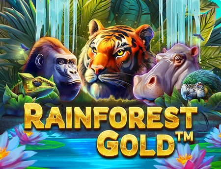 Rainforest Gold