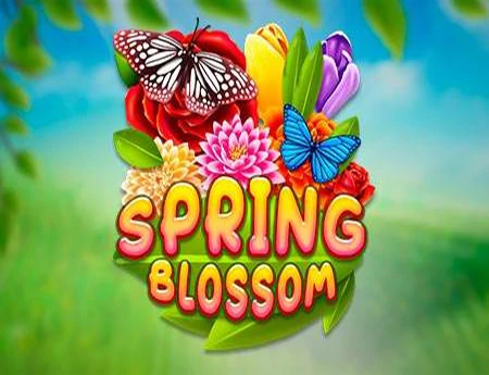Spring Blossom