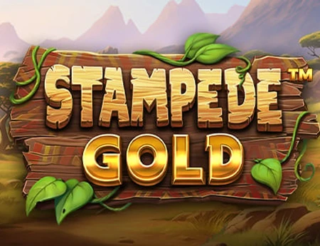 Stampede GOLD