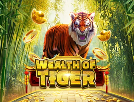 Wealth of Tiger
