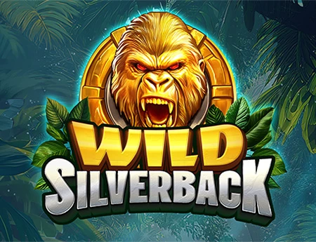Wild Silverback